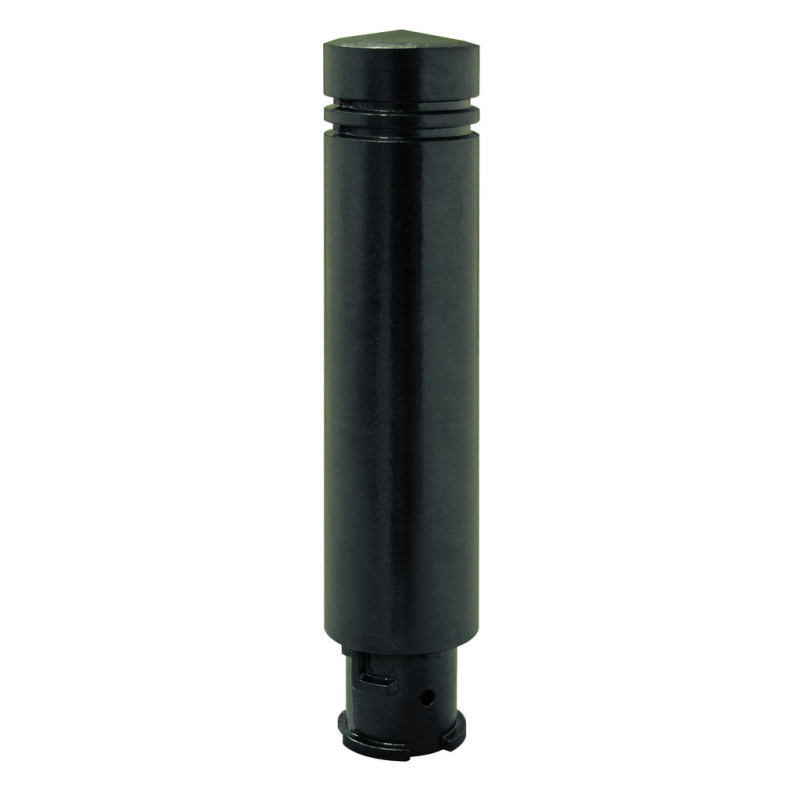 Borne de voirie en fonte CYGNE