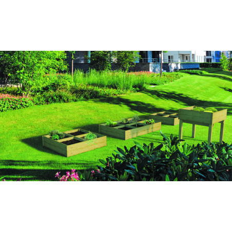 CARRÉ POTAGER pour enfant